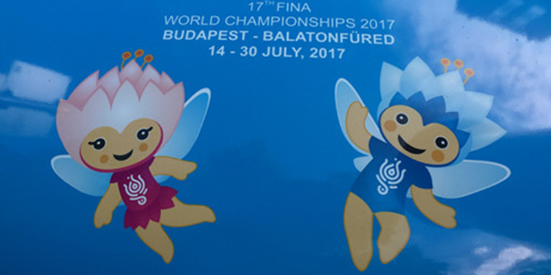 热烈庆祝B体育平台成为FINA国际游泳联合会2017布达佩斯世界游泳锦标赛看台供应商